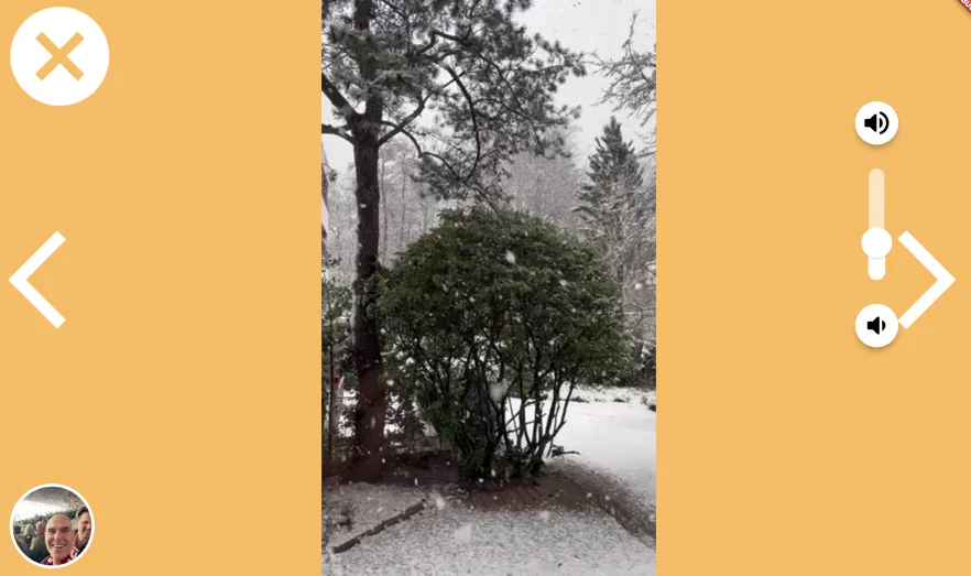 Screenshot: Fotoalbum auf der Telemarie