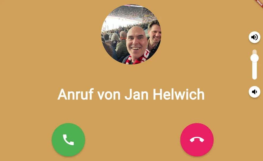 Screenshot: Eingehender Anruf auf der Telemarie